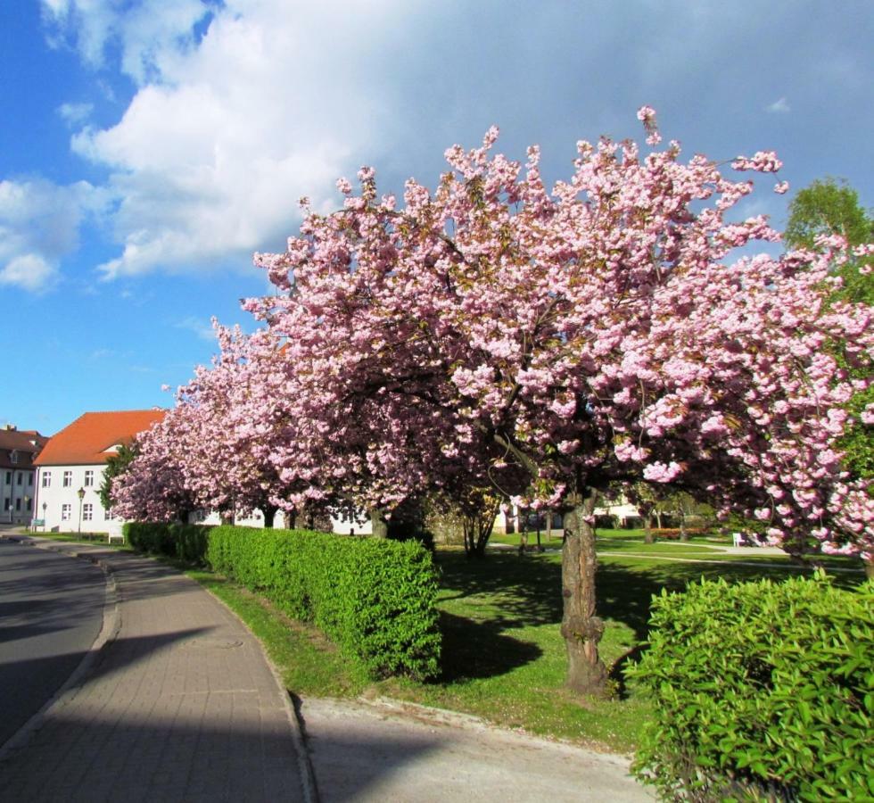 Kastanienhof Luebben Apartment Luaran gambar